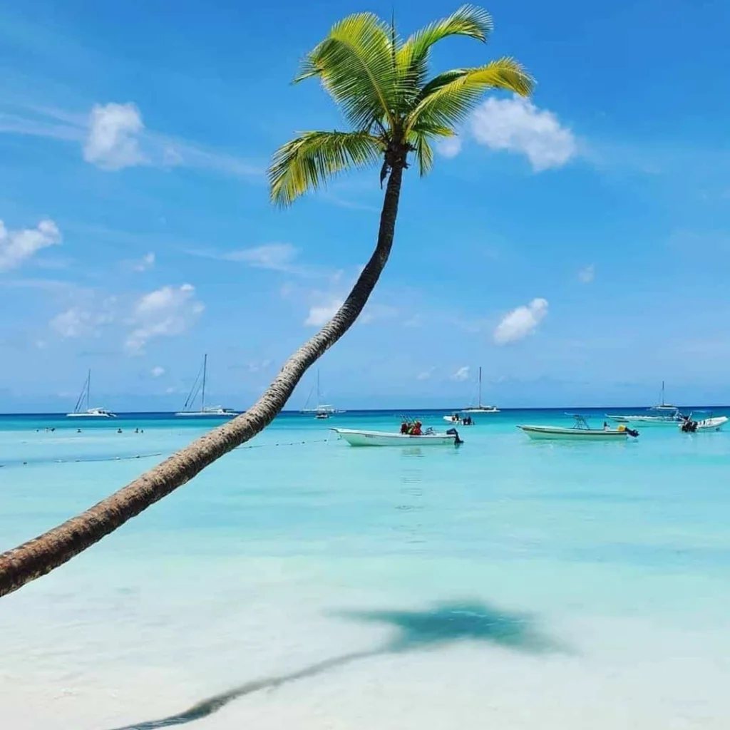 Saona Island Tour