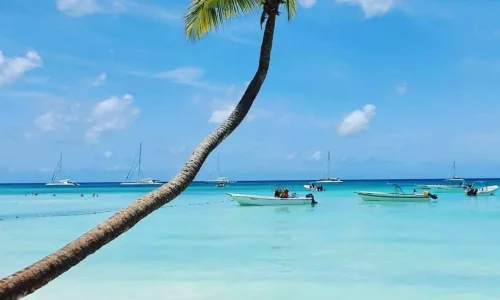 Saona Island Tour