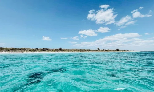 Catalina Island tour Bayahibe