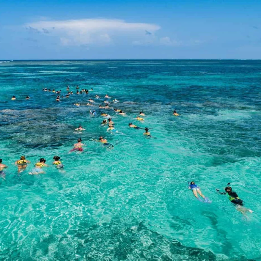 Snorkeling from Bayahibe_