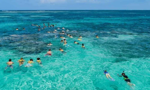 Snorkeling from Bayahibe_