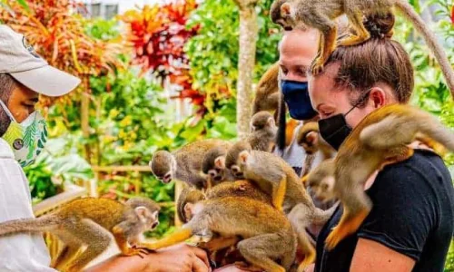 Monkeyland tour from Bayahibe by Bayahibe Adventures