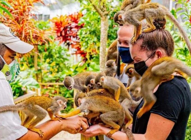 Monkeyland Tour from Bayahibe