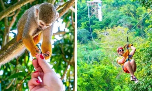 Monkeyland and Zip Line tour from Bayahibe