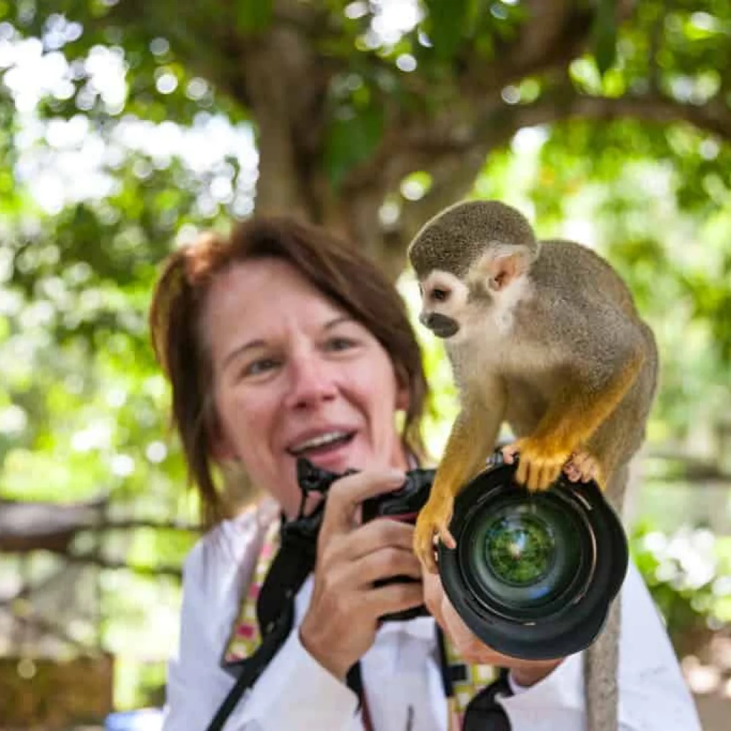 Monkeyland Zip Line