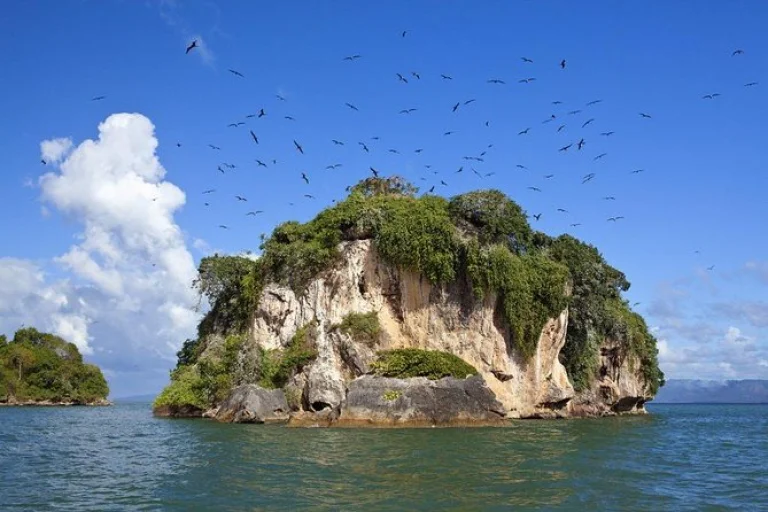 Los Haitises National Park & Montaña Redonda Tour from Bayahibe