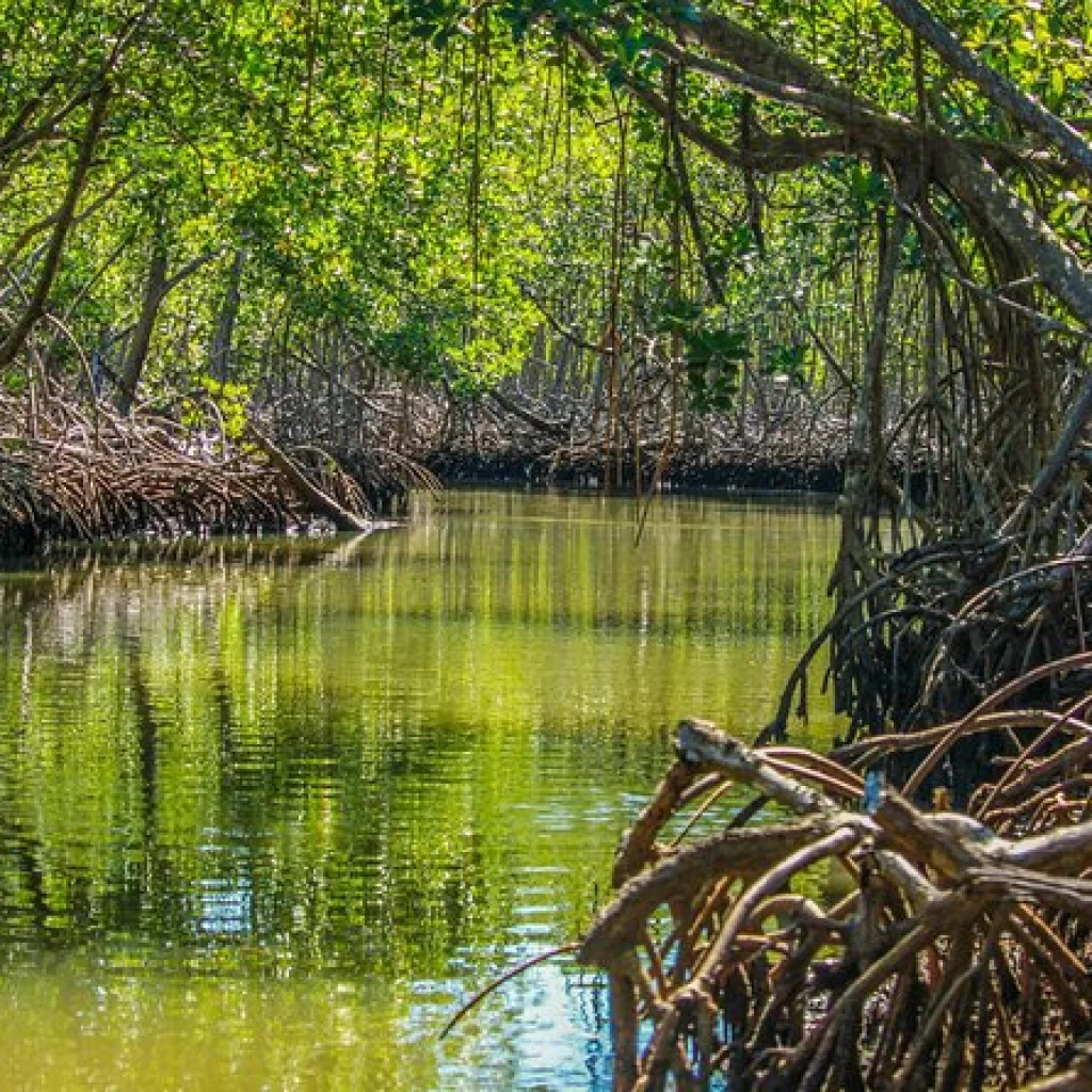 Los Haitises National Park