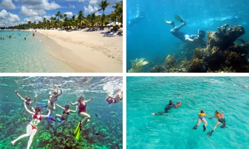 Catalina Island Snorkeling Tour