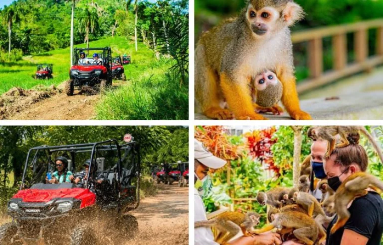 Monkeyland & Jungle Buggies Combo from Bayahibe