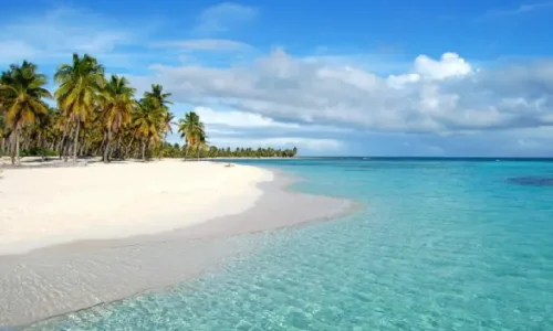 Saona Island Full Experience from Bayahibe – Three Beaches & Natural Pool photo 3