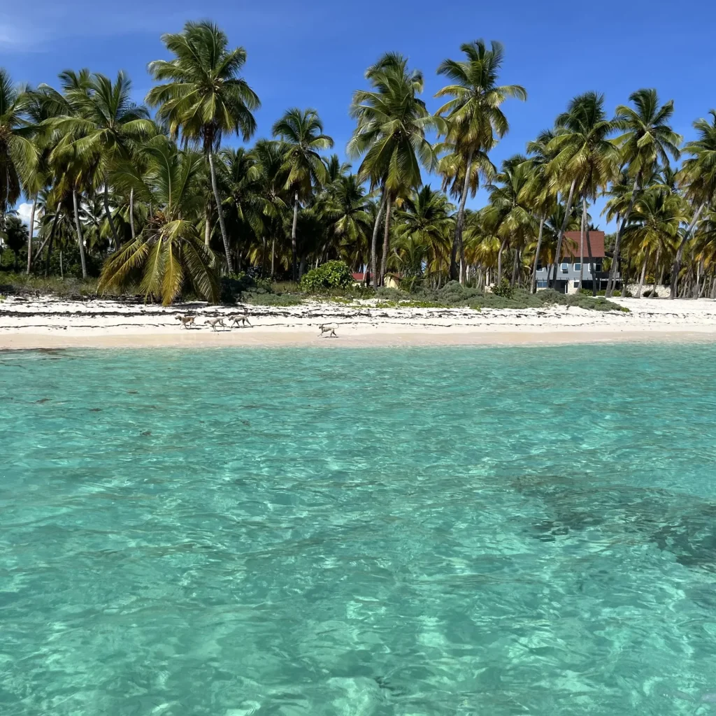 Saona Island Full Experience from Bayahibe – Three Beaches & Natural Pool